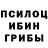 Псилоцибиновые грибы Psilocybine cubensis Jarenje